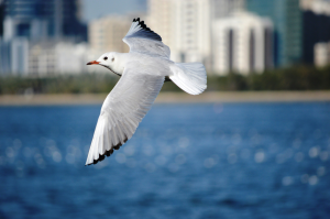 Read more about the article Power of self healing